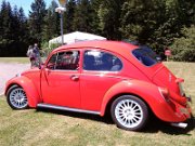 Beetle Show Rioz (6)